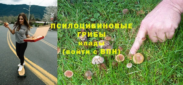 apvp Алексеевка