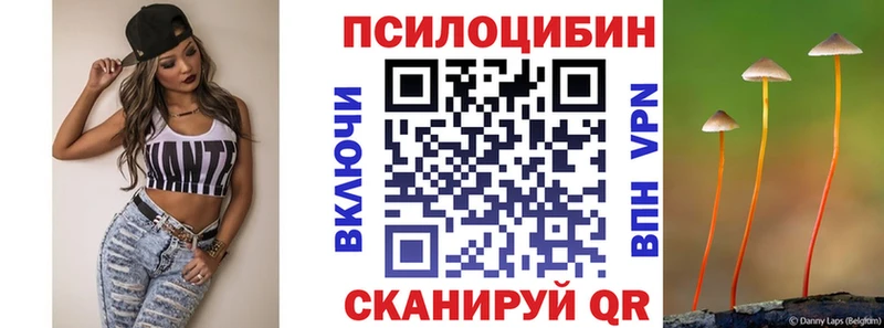 даркнет клад  Тавда  Псилоцибиновые грибы Cubensis 