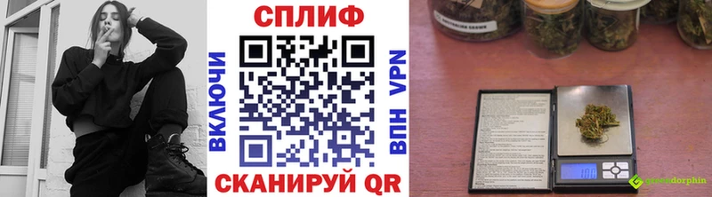 Шишки марихуана гибрид  ссылка на мегу ССЫЛКА  Тавда 